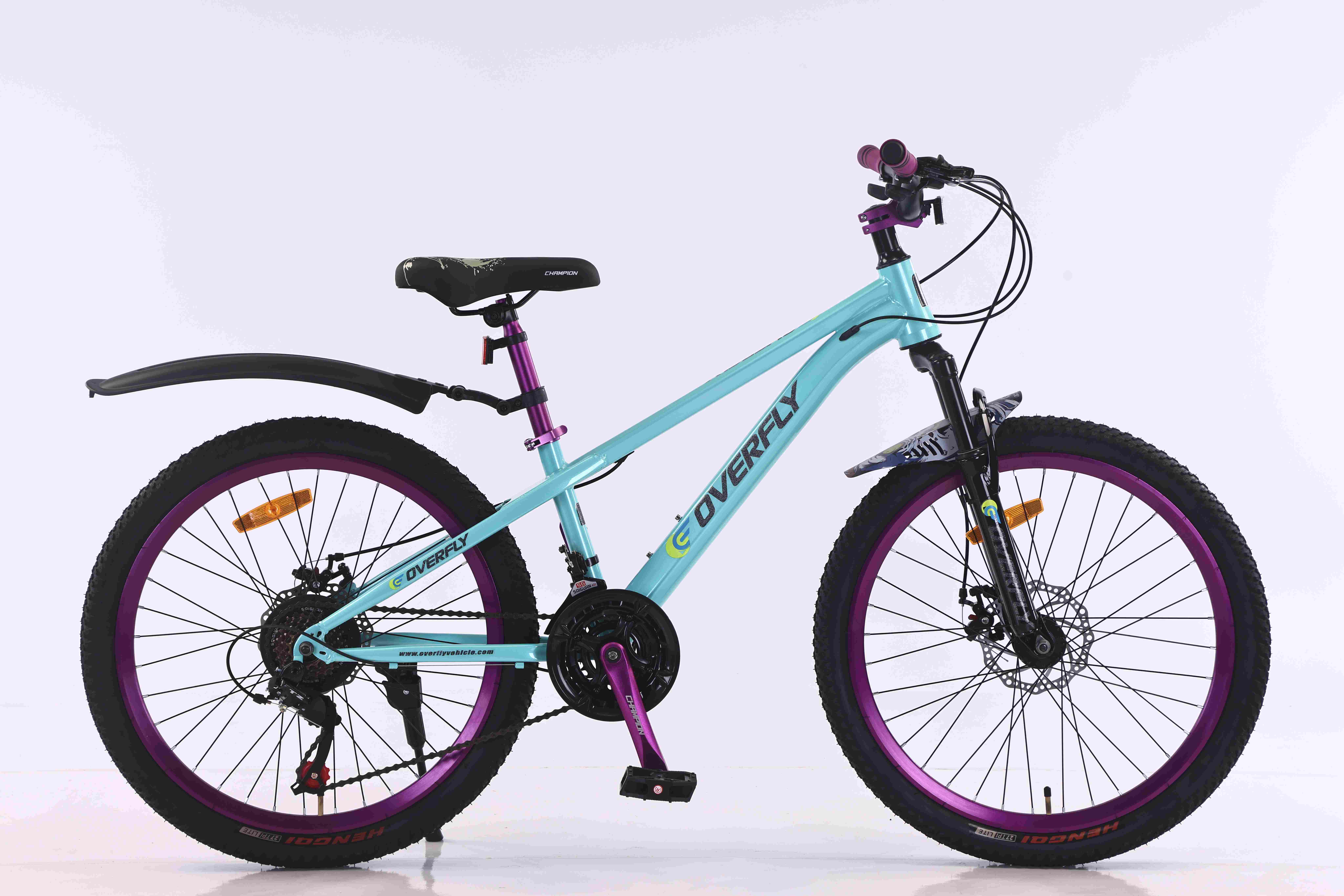 Mountain Bike 035